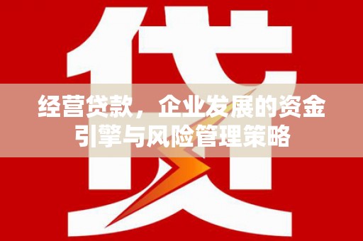 双城经营贷款，企业发展的资金引擎与风险管理策略