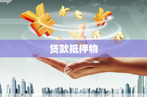 镇雄贷款抵押物
