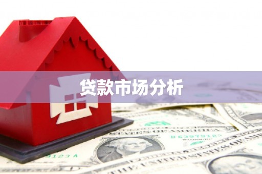 天元贷款市场分析