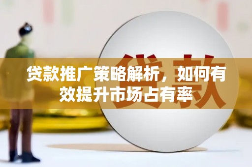 勐海贷款推广策略解析，如何有效提升市场占有率