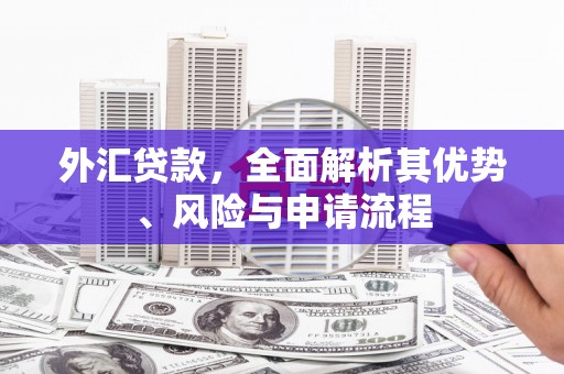 驿城外汇贷款，全面解析其优势、风险与申请流程