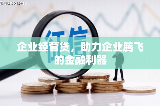 滨海企业经营贷，助力企业腾飞的金融利器