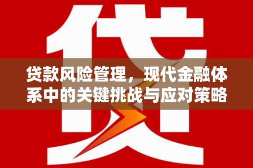 西安贷款风险管理，现代金融体系中的关键挑战与应对策略