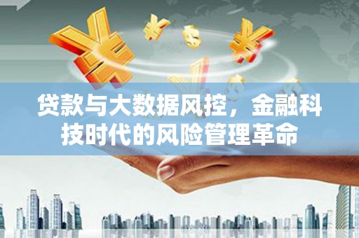 马尔康贷款与大数据风控，金融科技时代的风险管理革命
