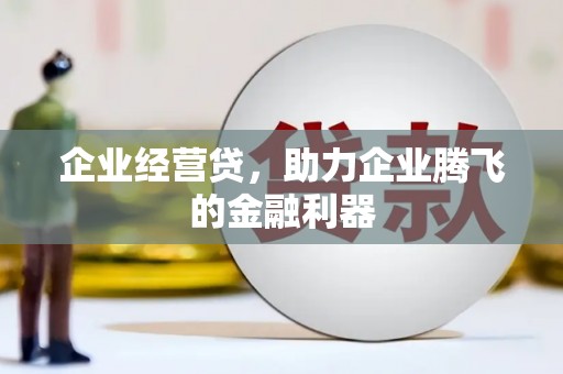图们企业经营贷，助力企业腾飞的金融利器