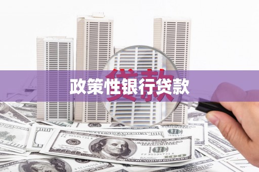 龙文政策性银行贷款