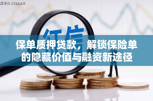 甘谷保单质押贷款，解锁保险单的隐藏价值与融资新途径