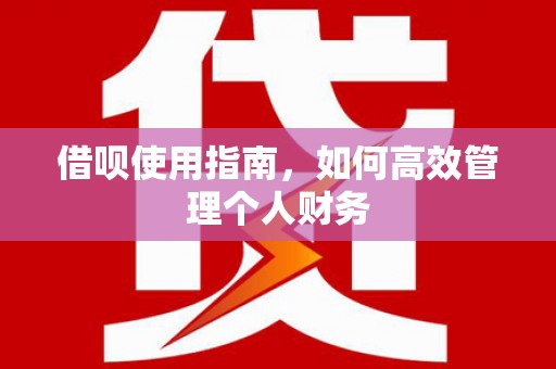 岱山借呗使用指南，如何高效管理个人财务