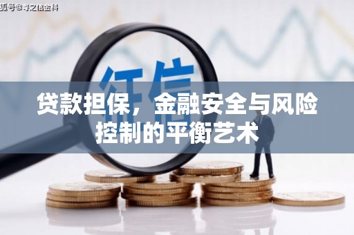 东昌贷款担保，金融安全与风险控制的平衡艺术