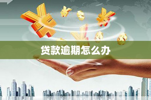 南充贷款逾期怎么办