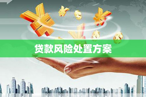 禅城贷款风险处置方案
