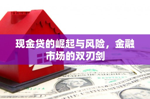 西市现金贷的崛起与风险，金融市场的双刃剑