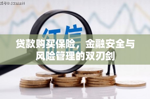 临漳贷款购买保险，金融安全与风险管理的双刃剑