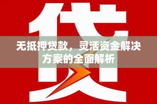 柳南无抵押贷款，灵活资金解决方案的全面解析