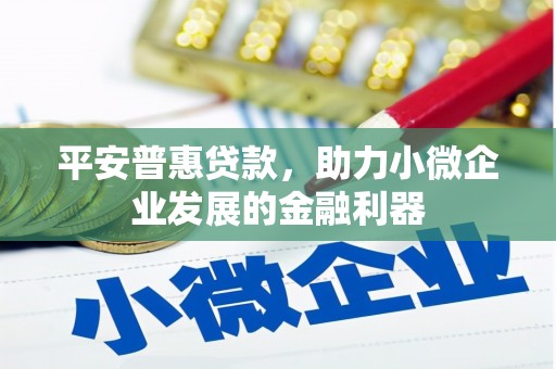 友谊平安普惠贷款，助力小微企业发展的金融利器