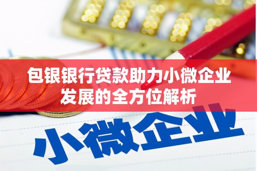 唐山包银银行贷款助力小微企业发展的全方位解析 唐山包银银行贷款助力小微企业发展的全方位解析