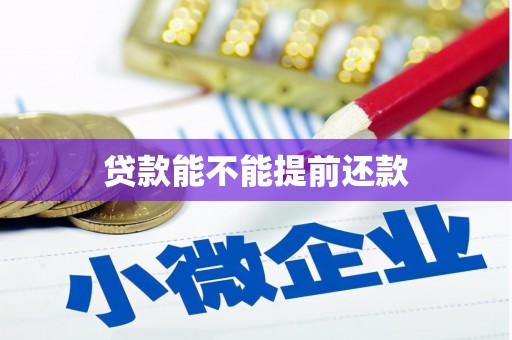 徐水贷款能不能提前还款