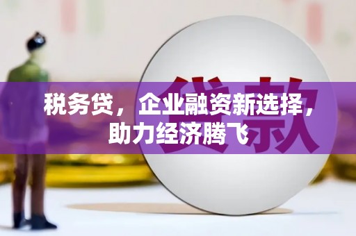 东方税务贷，企业融资新选择，助力经济腾飞