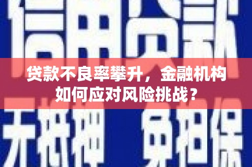韶关贷款不良率攀升，金融机构如何应对风险挑战？