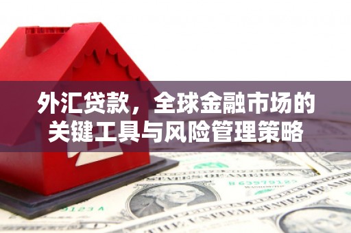 潍坊外汇贷款，全球金融市场的关键工具与风险管理策略