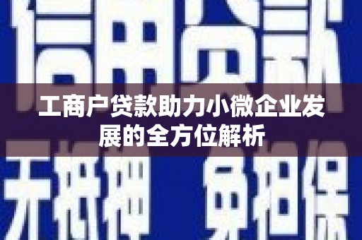 夏邑工商户贷款助力小微企业发展的全方位解析