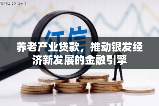 代县养老产业贷款，推动银发经济新发展的金融引擎