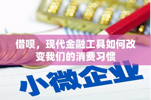 东明借呗，现代金融工具如何改变我们的消费习惯