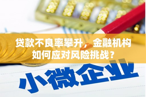 五台贷款不良率攀升，金融机构如何应对风险挑战？