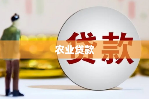 北关农业贷款