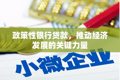 永新政策性银行贷款，推动经济发展的关键力量