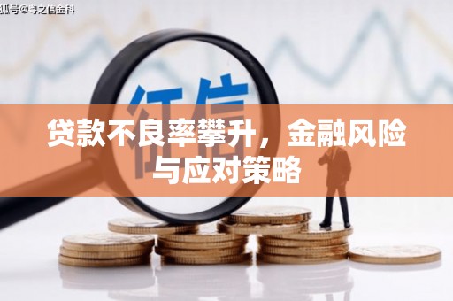 金城贷款不良率攀升，金融风险与应对策略
