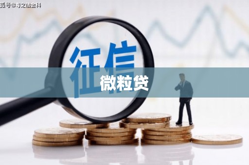 屯门微粒贷
