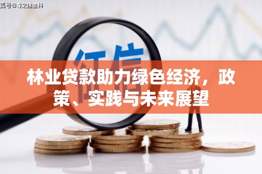 洪雅林业贷款助力绿色经济，政策、实践与未来展望