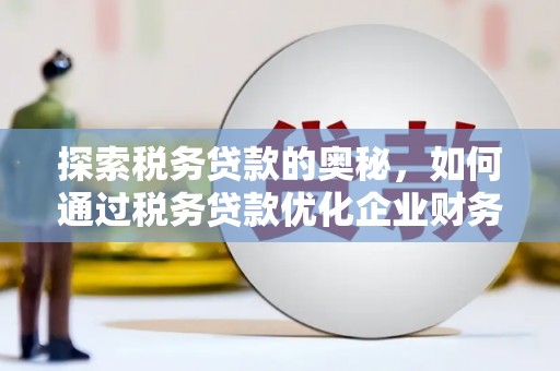 田尾探索税务贷款的奥秘，如何通过税务贷款优化企业财务