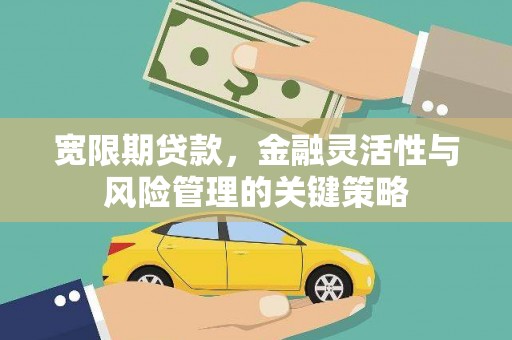 营口宽限期贷款，金融灵活性与风险管理的关键策略