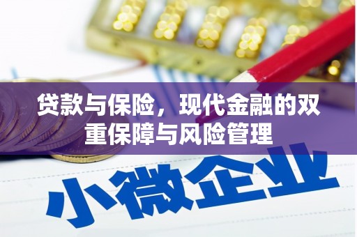 墨江贷款与保险，现代金融的双重保障与风险管理