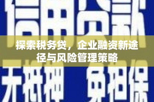 吉阳探索税务贷，企业融资新途径与风险管理策略