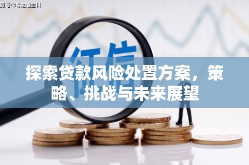 梧州探索贷款风险处置方案，策略、挑战与未来展望