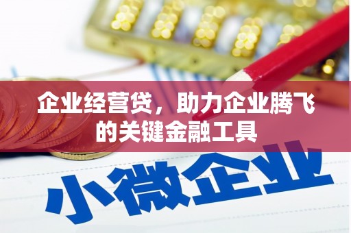 湖口企业经营贷，助力企业腾飞的关键金融工具