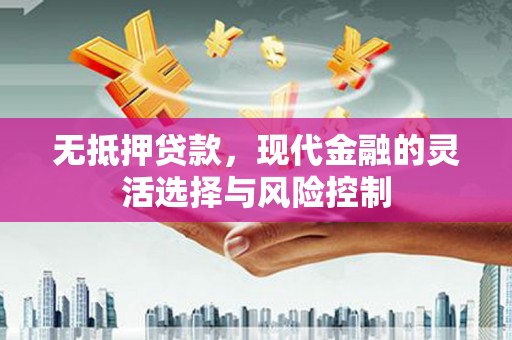 泾川无抵押贷款，现代金融的灵活选择与风险控制