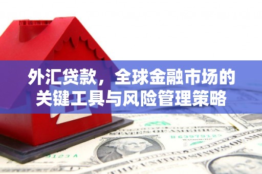 中正外汇贷款，全球金融市场的关键工具与风险管理策略