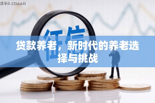 山海关贷款养老，新时代的养老选择与挑战