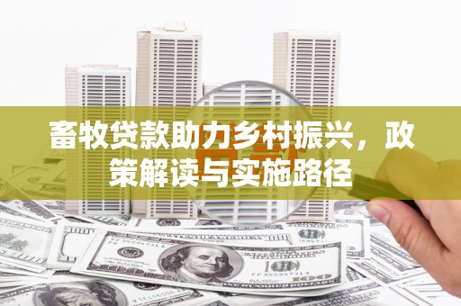 官渡畜牧贷款助力乡村振兴，政策解读与实施路径
