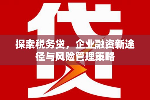 章丘探索税务贷，企业融资新途径与风险管理策略