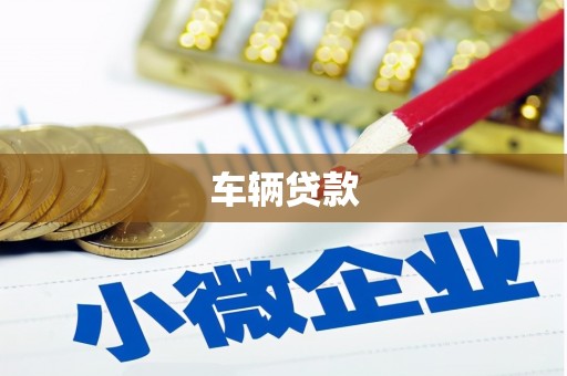 蒲县车辆贷款