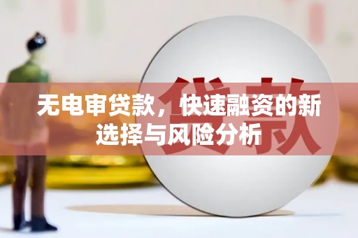 坪林无电审贷款，快速融资的新选择与风险分析