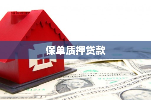 白碱滩保单质押贷款