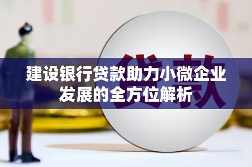 鹤庆建设银行贷款助力小微企业发展的全方位解析