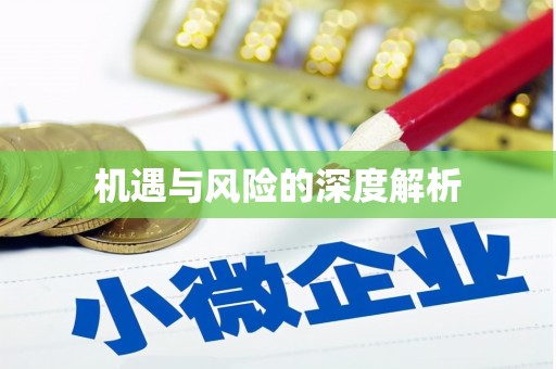 安定机遇与风险的深度解析