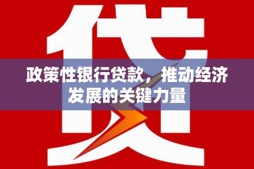 吉县政策性银行贷款，推动经济发展的关键力量